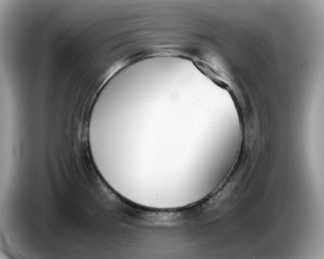 X0000086761193200704271724