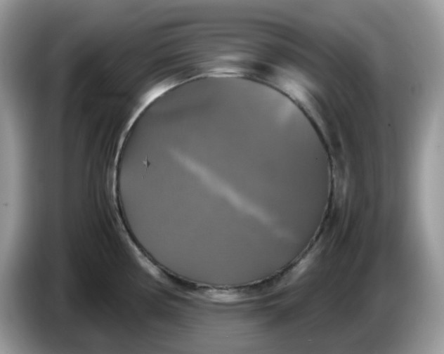 X0000086761194200704271724