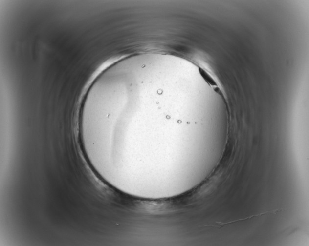 X0000086761195200704271724