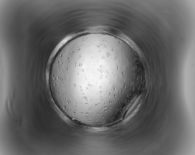 X0000086761196200704271724