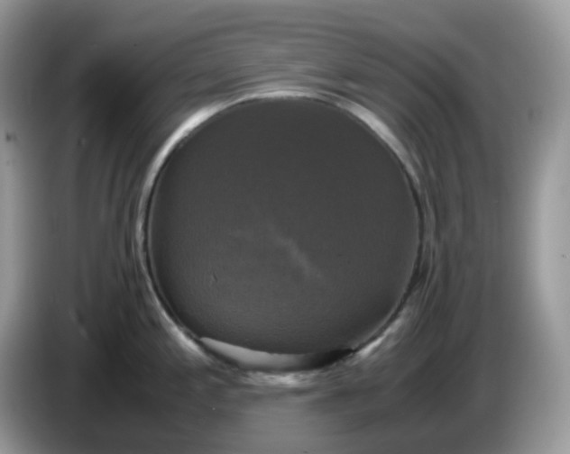 X0000086761197200704271724