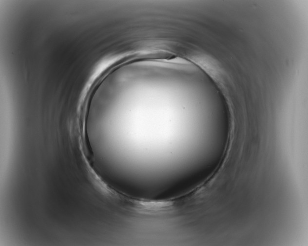 X0000086761200200704271724