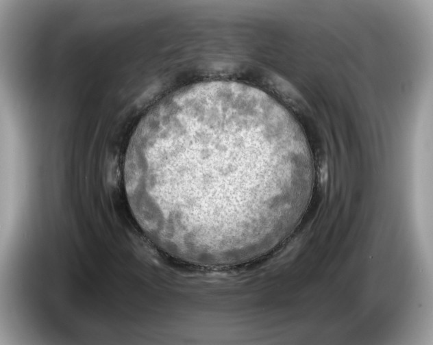 X0000086761204200704271723