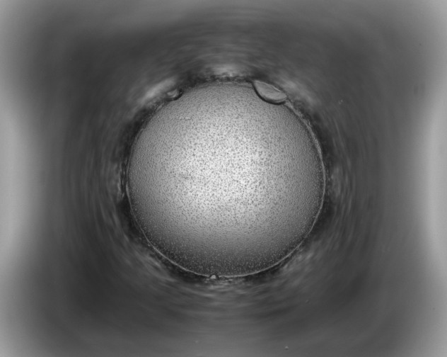 X0000086761205200704271723