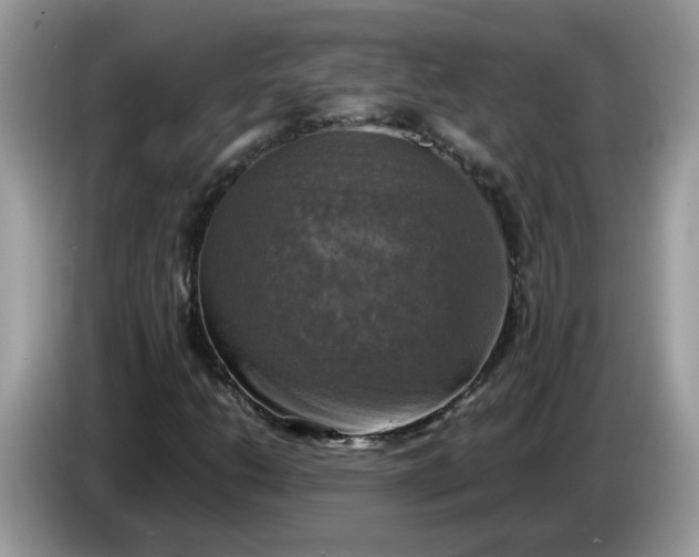 X0000086761206200704271723