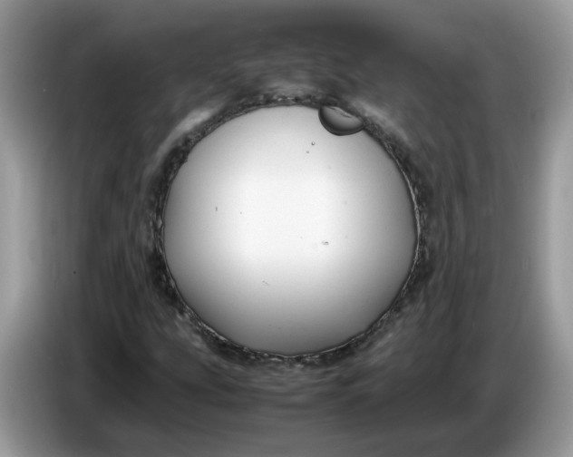 X0000086761207200704271723