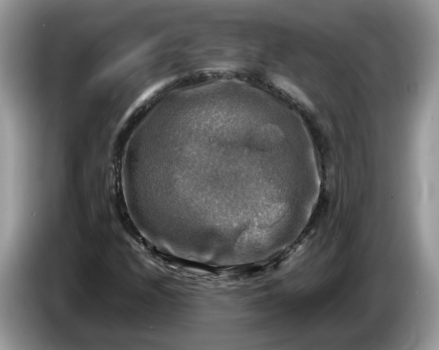 X0000086761208200704271723