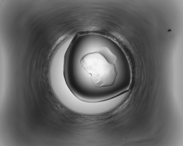 X0000086761210200704271723