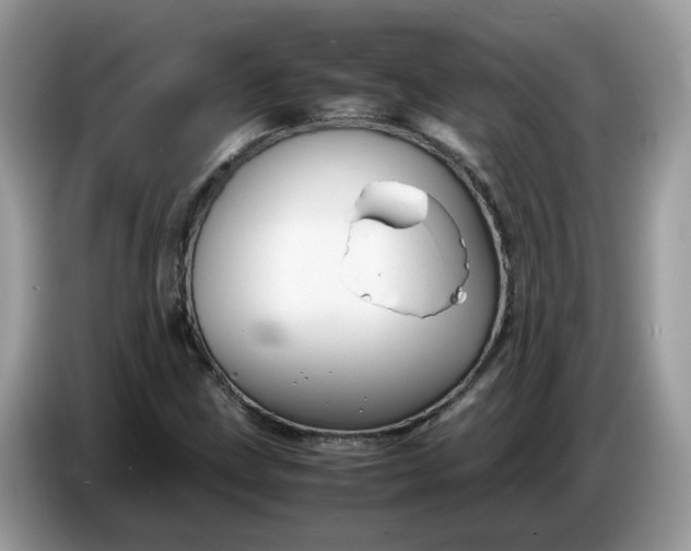 X0000086761211200704271723