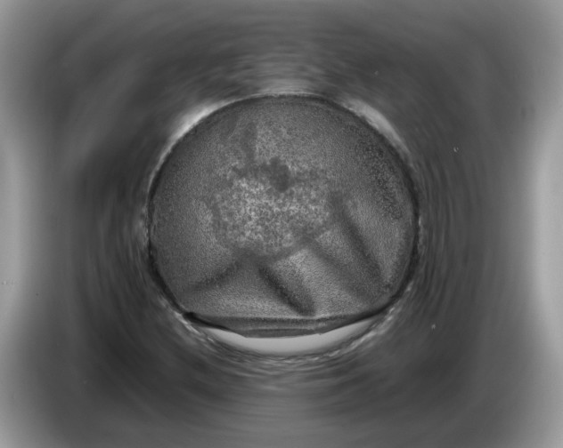 X0000086761212200704271723