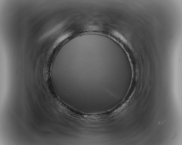 X0000086761213200704271723