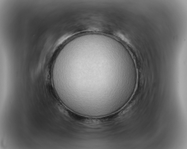 X0000086761215200704271723