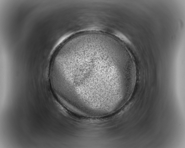 X0000086761216200704271723