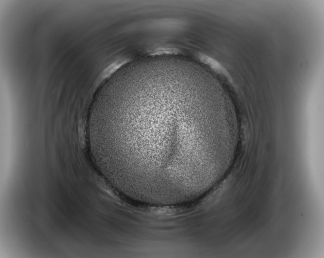 X0000086761217200704271723