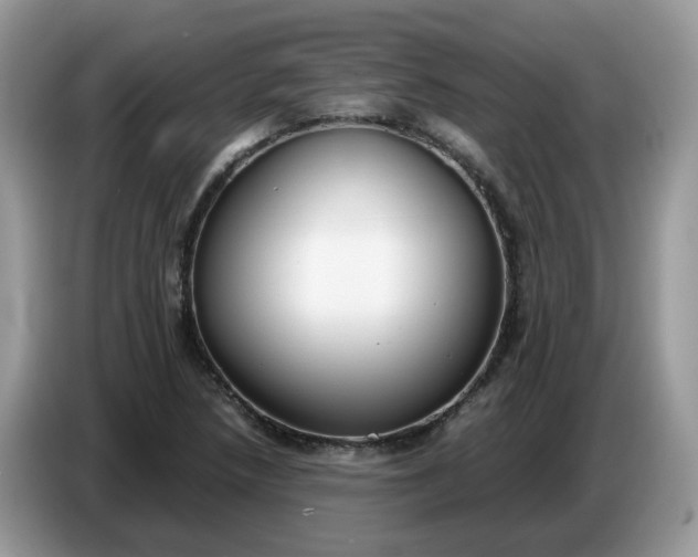 X0000086761218200704271723