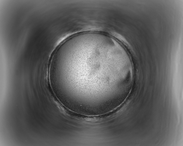 X0000086761220200704271723