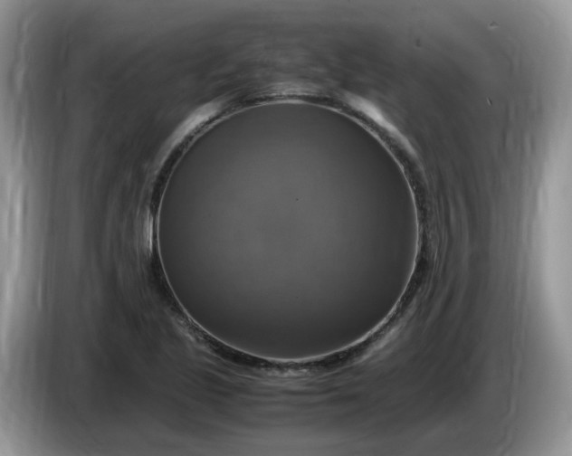 X0000086761221200704271723