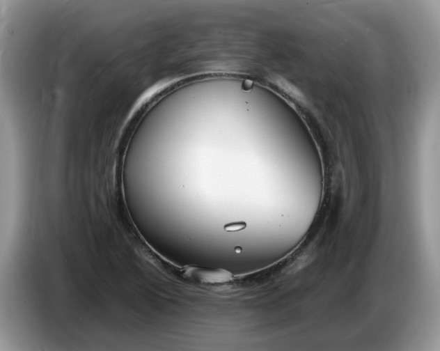 X0000086761222200704271723