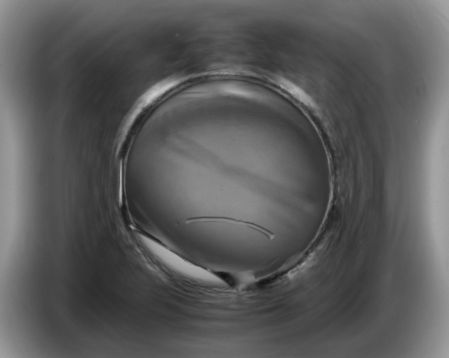 X0000086761223200704271723