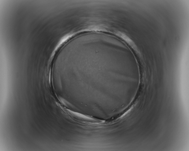 X0000086761224200704271723