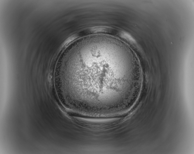 X0000086761225200704271723