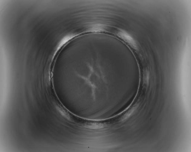 X0000086761226200704271723