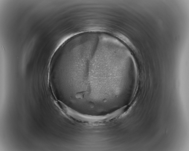 X0000086761228200704271724