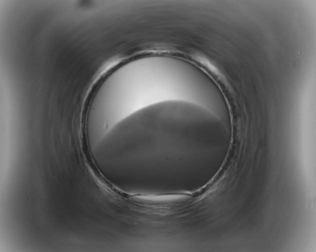 X0000086761229200704271724