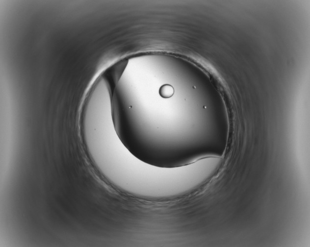 X0000086761230200704271724