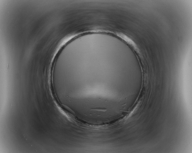 X0000086761231200704271724