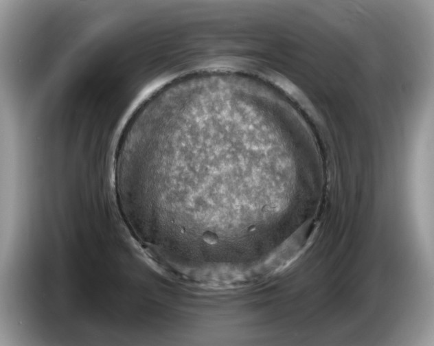 X0000086761232200704271724