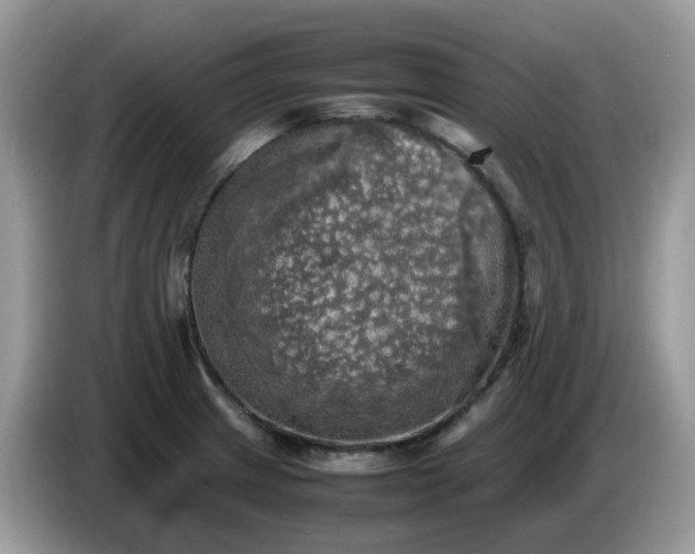 X0000086761233200704271724