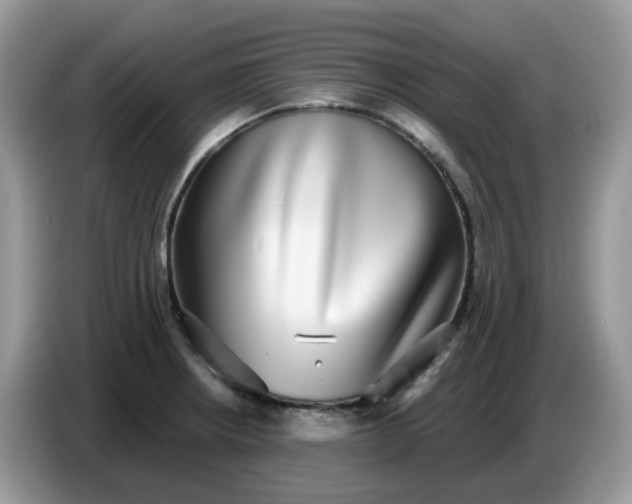 X0000086761234200704271724