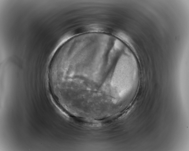 X0000086761235200704271724