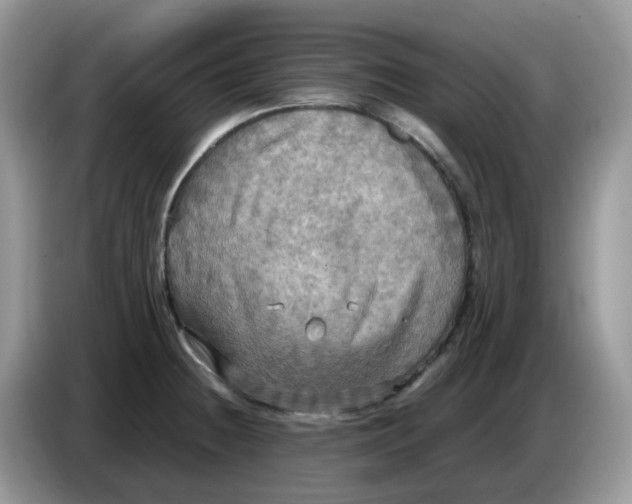 X0000086761236200704271724