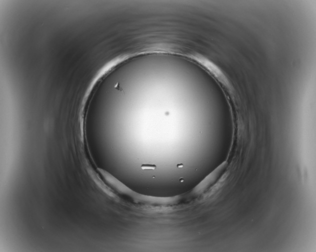 X0000086761238200704271724