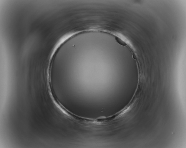 X0000086761239200704271724