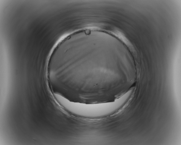 X0000086761240200704271724