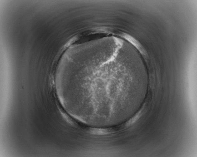 X0000086761241200704271724