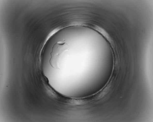 X0000086761242200704271724