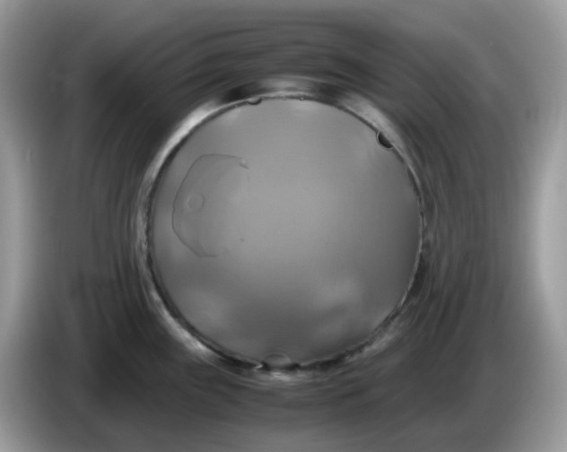 X0000086761243200704271724