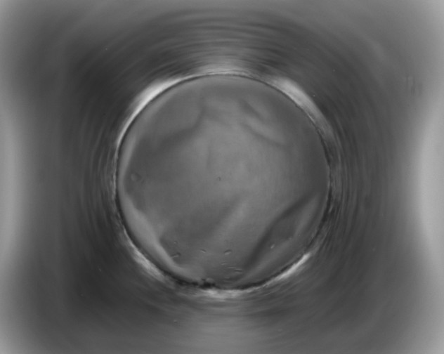 X0000086761244200704271724