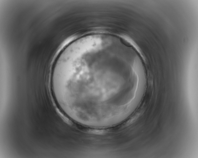 X0000086761245200704271724