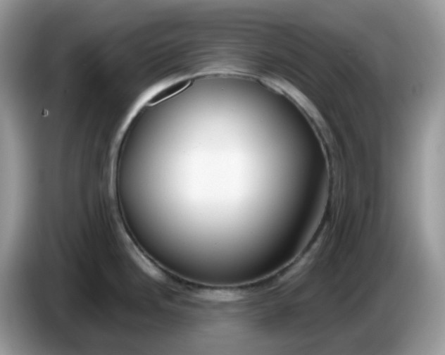 X0000086761246200704271724