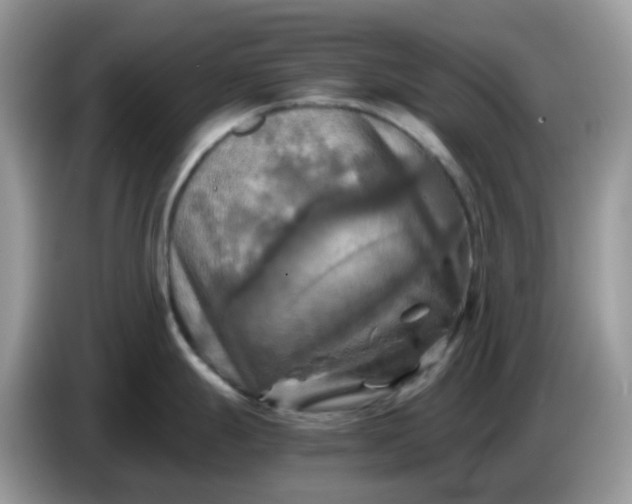 X0000086761247200704271724