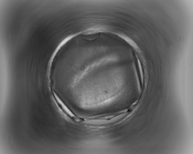 X0000086761248200704271724