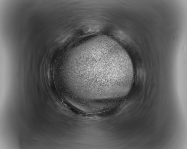 X0000086761250200704271723