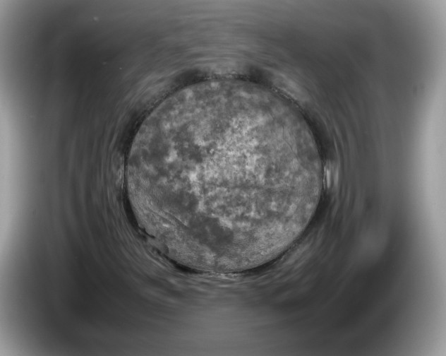 X0000086761251200704271723