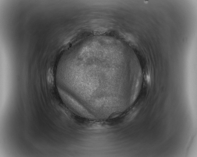 X0000086761252200704271723