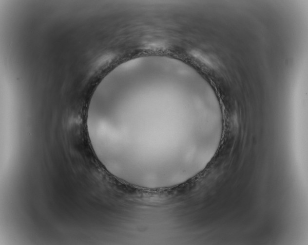 X0000086761254200704271723